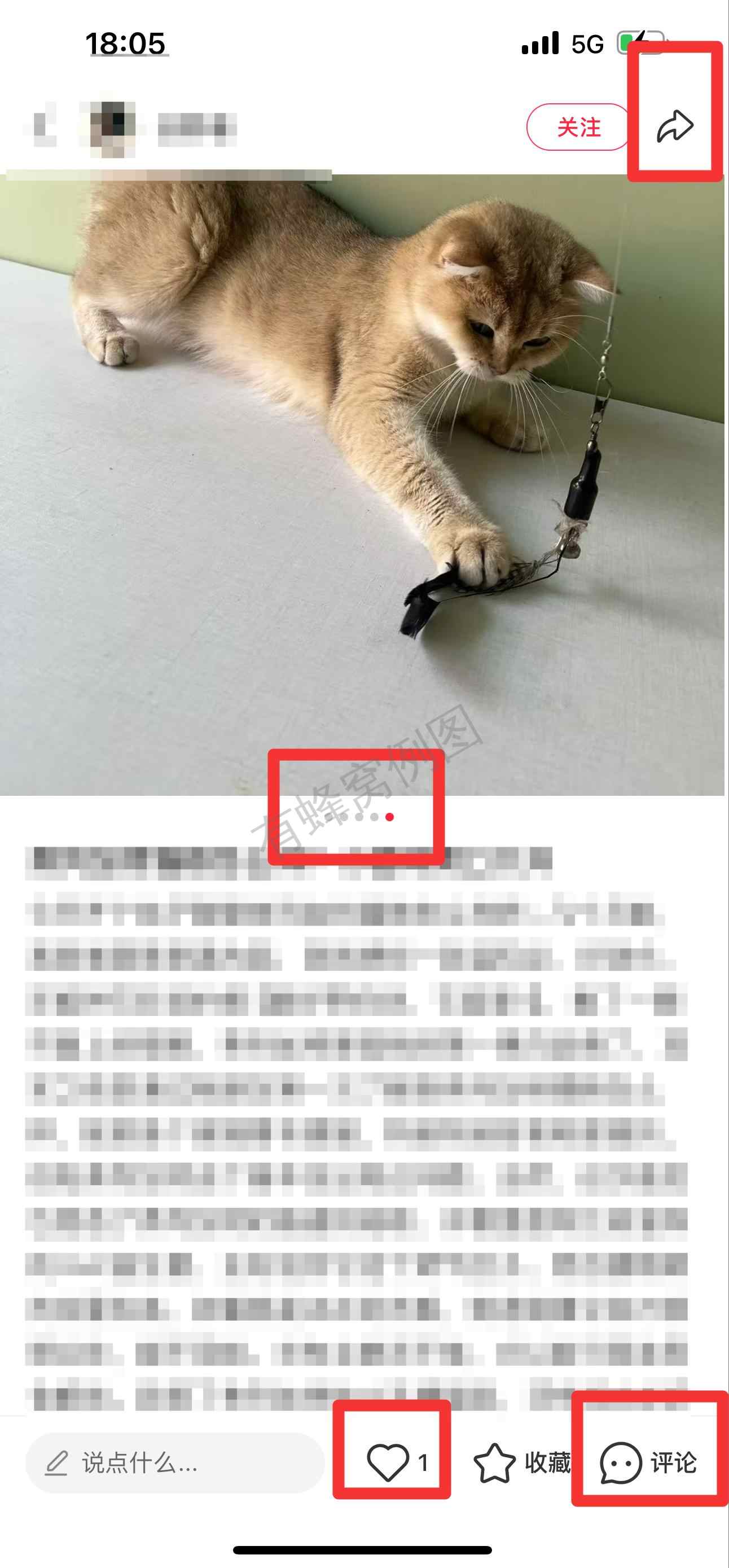 小红书 搜索 弗 弗列加特烘焙粮19 步骤图2