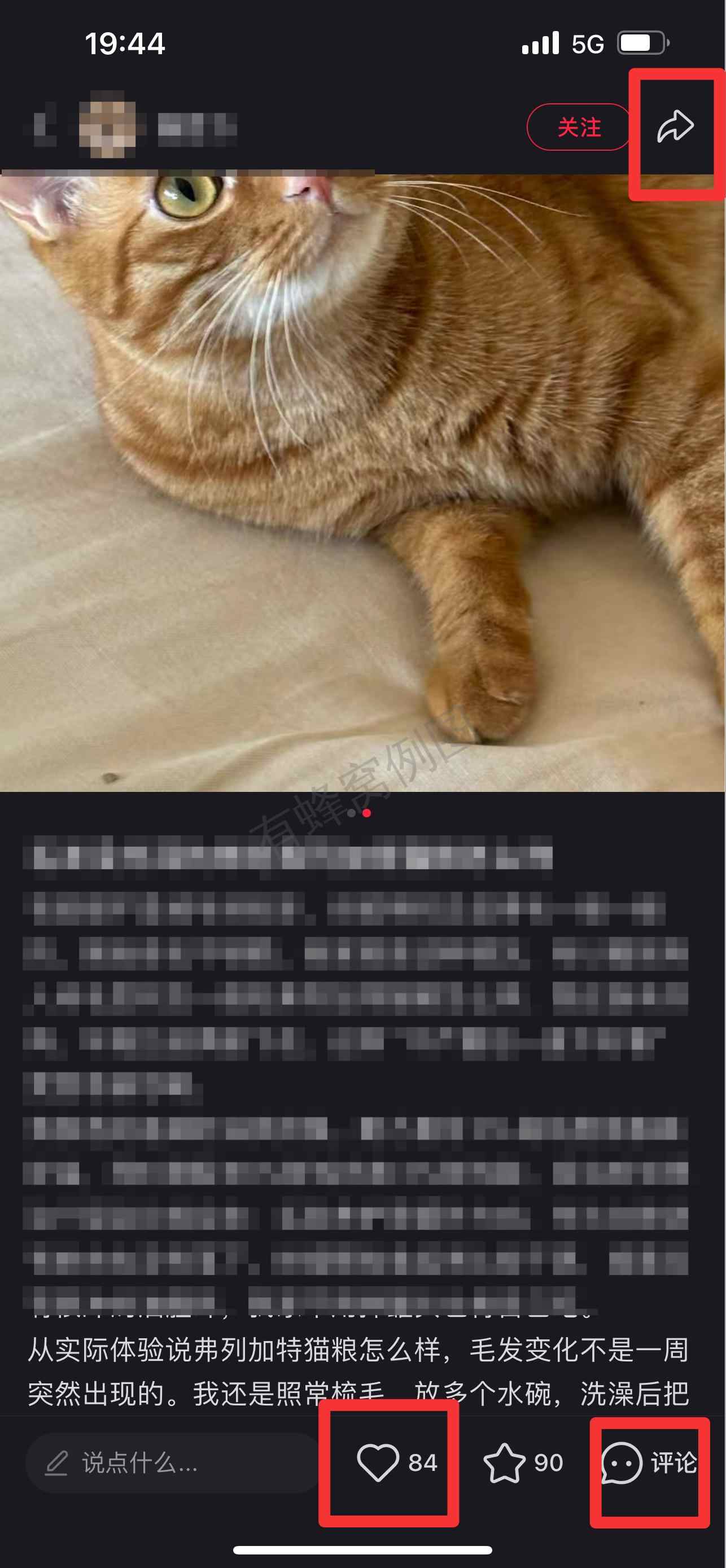 小红书 搜索 弗 弗列加特猫粮怎么样18 步骤图2